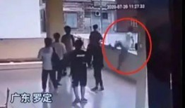 校园爆料视频在线观看,揭秘校园生活瞬间